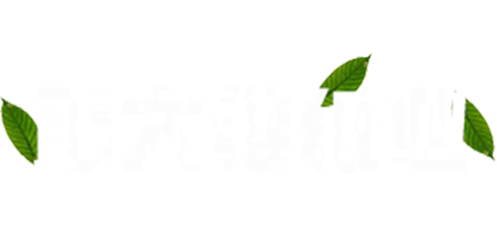 青岛纸管